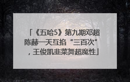 《五哈5》第九期邓超陈赫一天互掐“三百次”，王俊凯韭菜舞超魔性