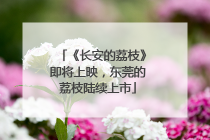 《长安的荔枝》即将上映，东莞的荔枝陆续上市