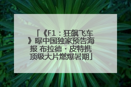 《F1：狂飙飞车》曝中国独家预告海报 布拉德・皮特携顶级大片燃爆暑期
