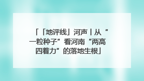 「地评线」河声丨从“一粒种子”看河南“两高四着力”的落地生根