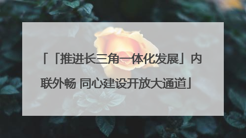 「推进长三角一体化发展」内联外畅 同心建设开放大通道