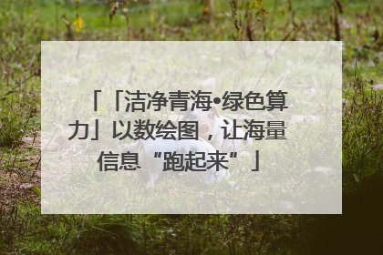 「洁净青海•绿色算力」以数绘图，让海量信息“跑起来”