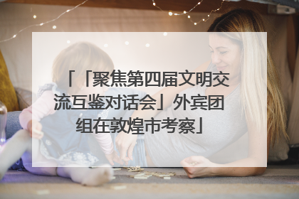 「聚焦第四届文明交流互鉴对话会」外宾团组在敦煌市考察