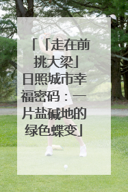 「走在前 挑大梁」日照城市幸福密码：一片盐碱地的绿色蝶变