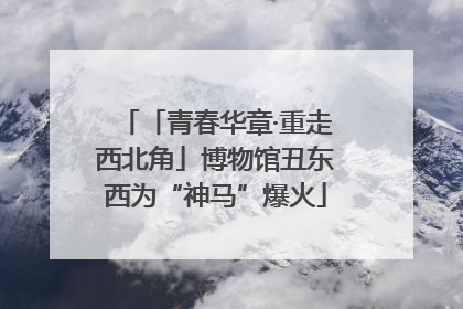 「青春华章·重走西北角」博物馆丑东西为“神马”爆火