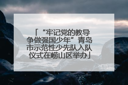 “牢记党的教导 争做强国少年”青岛市示范性少先队入队仪式在崂山区举办