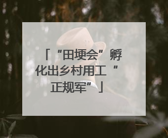 “田埂会”孵化出乡村用工“正规军”
