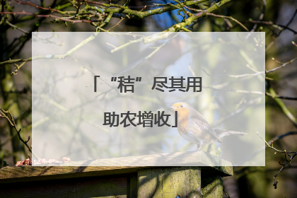 “秸”尽其用 助农增收