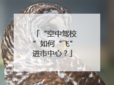“空中驾校”如何“飞”进市中心？