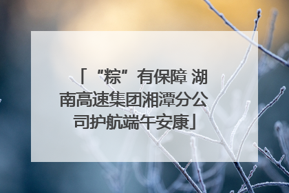 “粽”有保障 湖南高速集团湘潭分公司护航端午安康