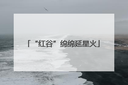 “红谷”绵绵延星火