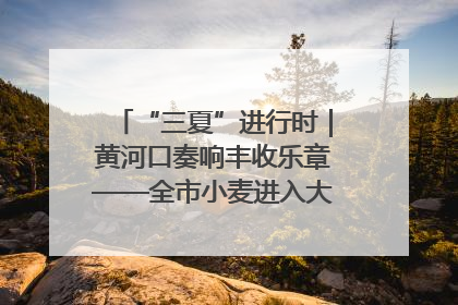 “三夏”进行时｜黄河口奏响丰收乐章——全市小麦进入大面积收获高峰期