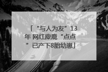 “与人为友”13年 网红麋鹿“点点”已产下8胎幼崽