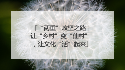 “两重”攻坚之路｜让“乡村”变“仙村”，让文化“活”起来