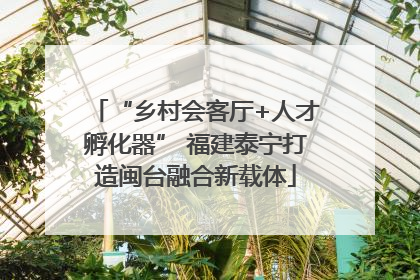 “乡村会客厅+人才孵化器” 福建泰宁打造闽台融合新载体