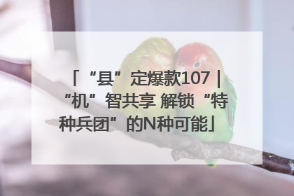 “县”定爆款107｜“机”智共享 解锁“特种兵团”的N种可能
