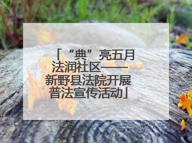 “典”亮五月 法润社区——新野县法院开展普法宣传活动