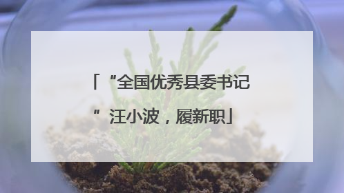 “全国优秀县委书记”汪小波，履新职
