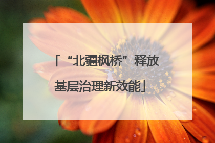 “北疆枫桥”释放基层治理新效能