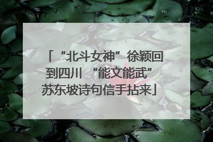 “北斗女神”徐颖回到四川 “能文能武”苏东坡诗句信手拈来
