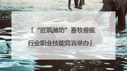 “匠筑潍坊”畜牧兽医行业职业技能竞赛举办