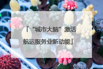 “城市大脑”激活航运服务业新动能