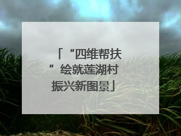 “四维帮扶”绘就莲湖村振兴新图景