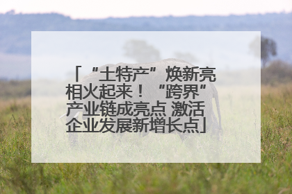 “土特产”焕新亮相火起来！“跨界”产业链成亮点 激活企业发展新增长点