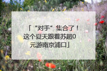 “对手”集合了！这个夏天跟着苏超0元游南京浦口