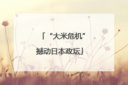 “大米危机”撼动日本政坛