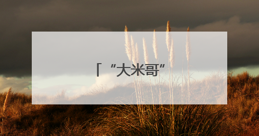 “大米哥”“慧”种田