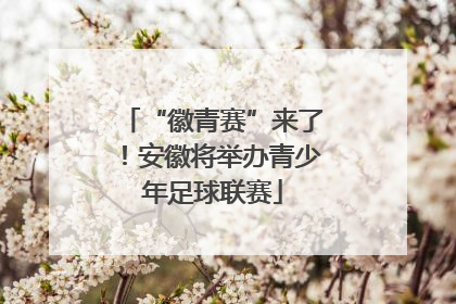 “徽青赛”来了！安徽将举办青少年足球联赛