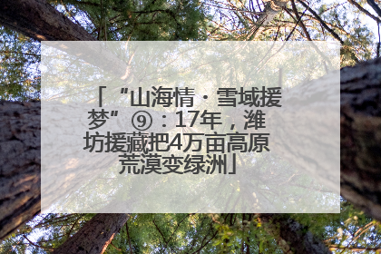 “山海情・雪域援梦”⑨：17年，潍坊援藏把4万亩高原荒漠变绿洲