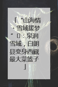 “山海情・雪域援梦”⑪：泉润雪域，白朗县变身西藏最大菜篮子