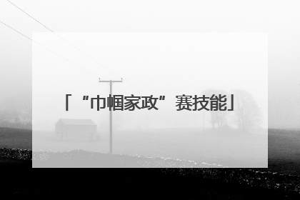 “巾帼家政”赛技能