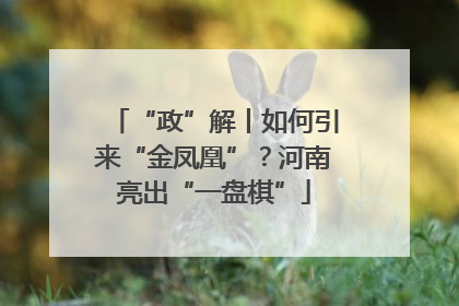 “政”解丨如何引来“金凤凰”？河南亮出“一盘棋”