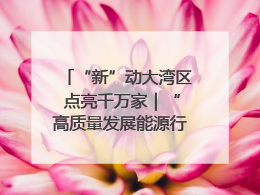 “新”动大湾区 点亮千万家｜“高质量发展能源行”系列报道③