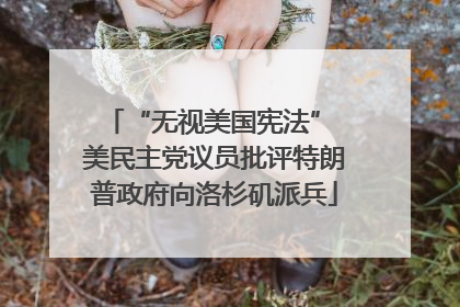 “无视美国宪法” 美民主党议员批评特朗普政府向洛杉矶派兵
