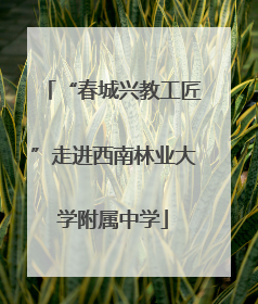 “春城兴教工匠”走进西南林业大学附属中学
