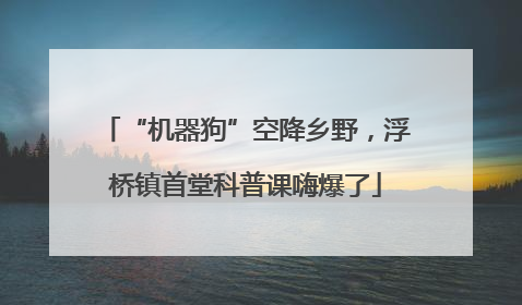 “机器狗”空降乡野，浮桥镇首堂科普课嗨爆了