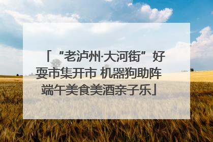 “老泸州·大河街”好耍市集开市 机器狗助阵端午美食美酒亲子乐