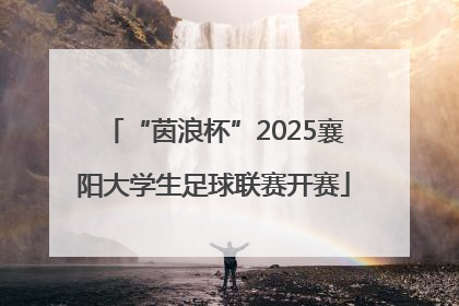 “茵浪杯”2025襄阳大学生足球联赛开赛