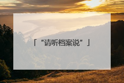 “请听档案说”