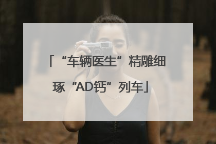 “车辆医生”精雕细琢“AD钙”列车