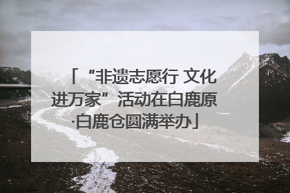 “非遗志愿行 文化进万家”活动在白鹿原·白鹿仓圆满举办