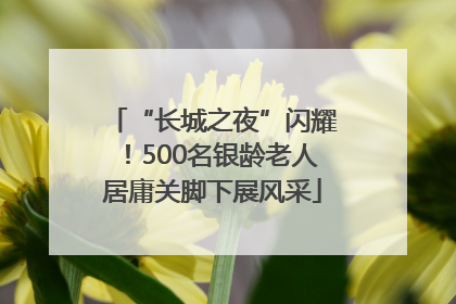 “长城之夜”闪耀！500名银龄老人居庸关脚下展风采