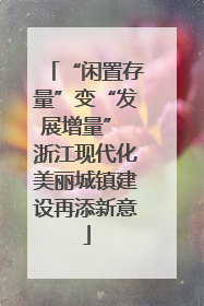 “闲置存量”变“发展增量” 浙江现代化美丽城镇建设再添新意