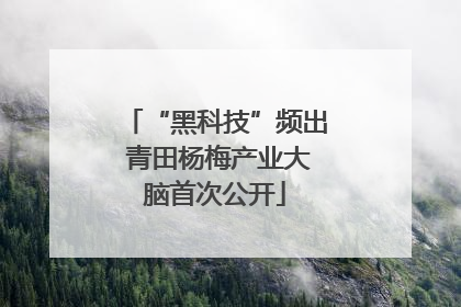 “黑科技”频出 青田杨梅产业大脑首次公开