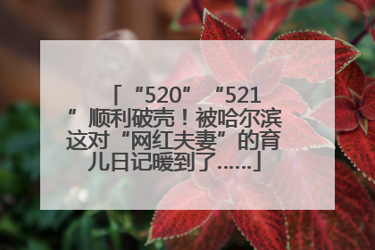 “520”“521”顺利破壳！被哈尔滨这对“网红夫妻”的育儿日记暖到了……
