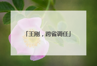 王刚，跨省调任